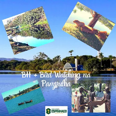 BH + Bird Watching Pampulha 01 dia