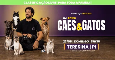 André Assunção ENTRE CÃES E GATOS