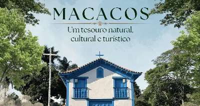Final do Festival da Canção - Projeto Macacos: um tesouro natural, cultural e turístico