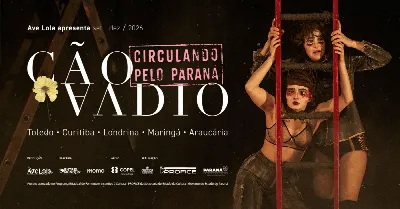 Cão Vadio Circulando pelo Paraná: Londrina.