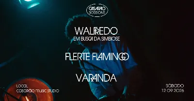 Walfredo Em Busca da Simbiose, Varanda e Flerte Flamingo no Casarão