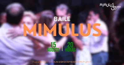 Baile Agosto - Mimulus