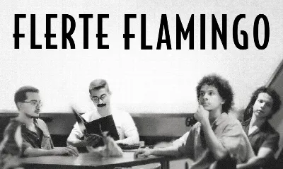 Flerte Flamingo em Florianópolis