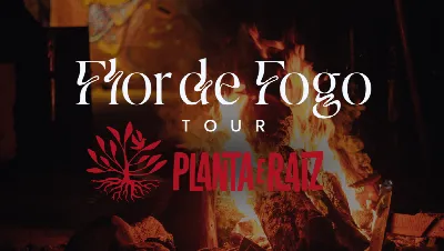 Planta e Raiz no Galpão Busca Vida
