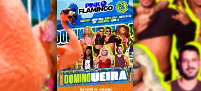 Pink Flamingo |Domingueira  - 02 de Agosto - 21h