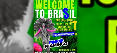 Pink Flamingo |Welcome to Brasil | Segunda, 03 de Agosto  21h